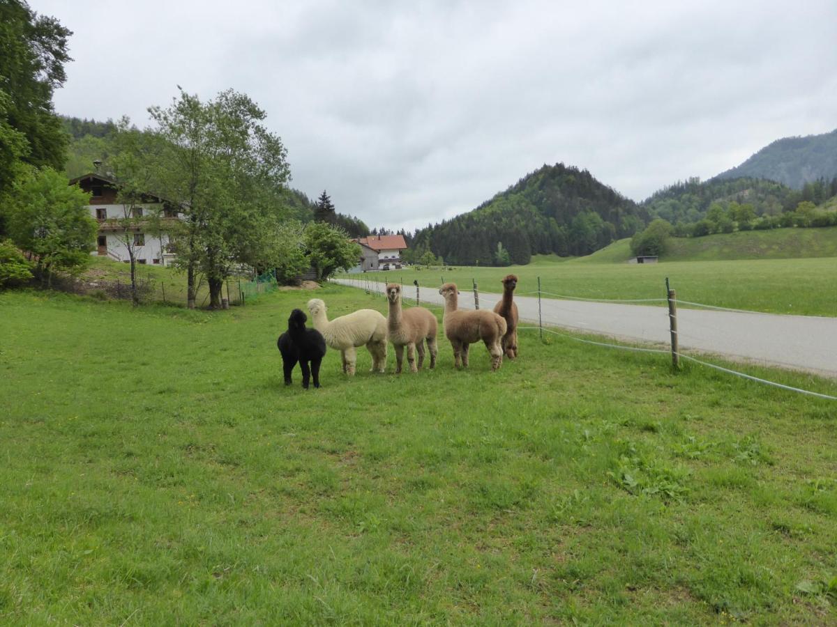 Gasthaus - Pension - Cafe Doerfl Kiefersfelden Kültér fotó